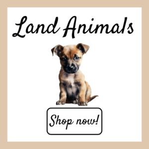 Land Animals