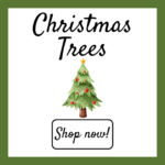 Christmas Trees