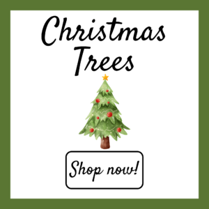 Christmas Trees