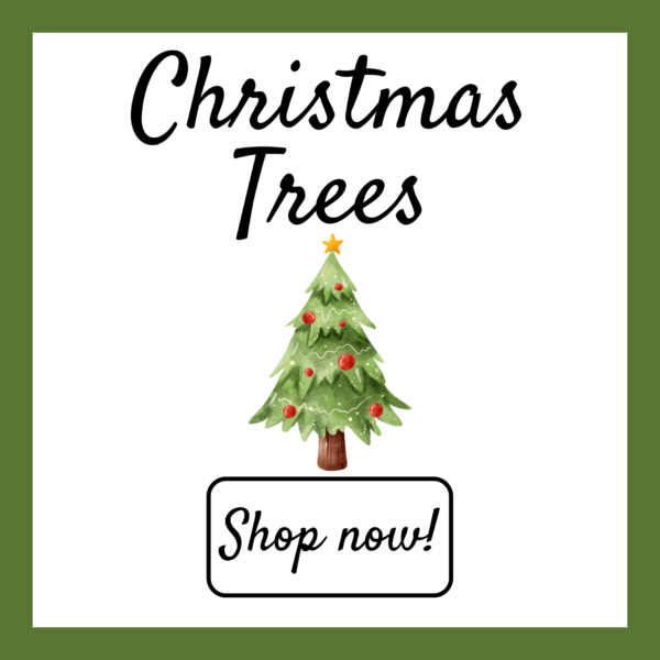 Christmas Trees