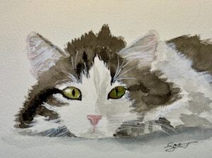 “Emerald Eyes” - Fluffy Kitten