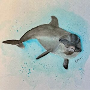 “Dolphin Delight”