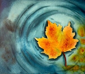 "The Fall Pond”
