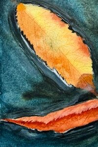 “Water Leaves”
