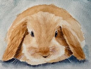 “Bunny Bliss” - Lop-Eared Rabbit