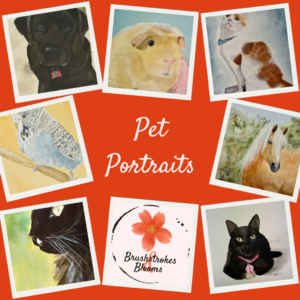 Pet Portraits